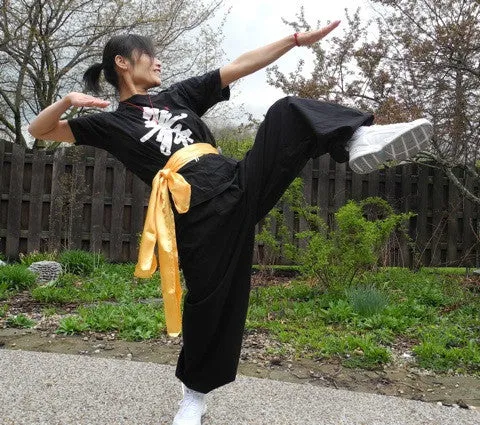 Kung-Fu Belt
