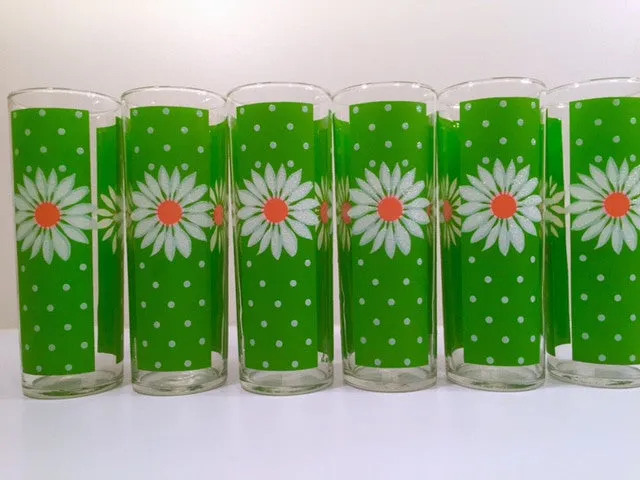 Pasinski Mid-Century Signed Daisy Collins Glasses (Set of 6)